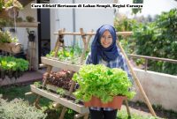 Cara Efektif Bertanam di Lahan Sempit