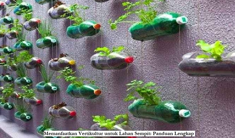 Vertikultur untuk Lahan Sempit