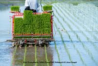 Rice Transplanter, Solusi Panen Padi Melimpah di Lahan Sempit