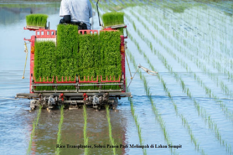 Rice Transplanter, Solusi Panen Padi Melimpah di Lahan Sempit